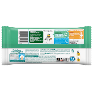 fr-FR-3124326_lingettes_fraicheur_deucalyptus_x_42_back.png